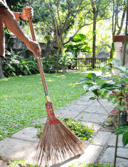 When Blight Strikes, it’s Time To Be More Careful