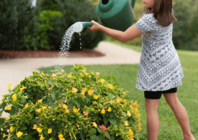 Municipal Garden Water