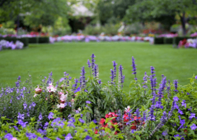 Agnes Scott College